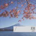 七星瓢虫 - 面具