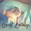 Animal Melody Wizard - Sound Therapy for Sleep