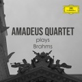 Amadeus Quartet - Brahms: String Quartet No. 3 in B Flat Major, Op. 67: IV. Poco allegretto con variazioni - Doppio movimento