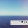 林艺泽 - 拦不住的风