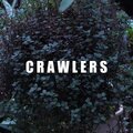 Apankflowers、don't panic - Crawlers