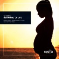 CRYDITS、Southern Tier - Beginning Of Life