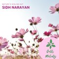 Sidh Narayan - Saffron Lounge