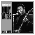 Muddy Waters - Forty Days And Forty Nights