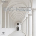 鈴木雅明、Bach Collegium Japan、carolyn sampson、Rachel Nicholls、robin blaze、Gerd Turk、Peter Kooij、Bach Collegium Japan Chorus - Kyrie：Kyrie eleison (Chorus)