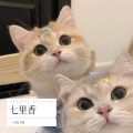 一只耗子精 - 爱在西元前