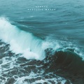 Oshova - Acoustic Waves