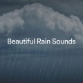Weather Factory、Nature Music Pregnancy Academy - Blue Eyes Crying