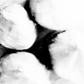 Sound Remedy - Naut