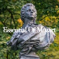 Erika Miklósa、mahler chamber orchestra、Claudio Abbado - 