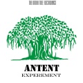 Antent - Experement (Original Mix)