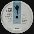 Dave Angel - Sighting
