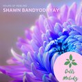 Shawn Bandyodhyay - Steep Fall Over A Rocky Ledge