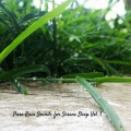 Rain and Chill、The Solfeggio Peace Orchestra、Coffee Shop Jazz Relax - Rain Proclaiming Thunderstorm