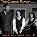 The Carter Family - Motherless Children
