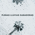 Olivia Lluvia、Canciones De Cuna Para Bebés、Ansiedad De Los Perros - La Idea De Ti
