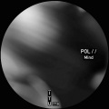 pol - Mind Reaction