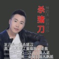 杨浩龙 - 杀猪刀