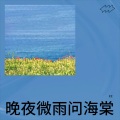cc - 晚夜微雨问海棠