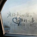 诀别诗、诀别冰岛 - 陪伴是对我最好的安慰