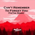 Music Factory - Can’t Remember To Forget You (TikTok)(Remix)