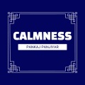 Pankaj Panjiyar - Calmness Musical Beats