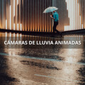 Música para Dormir Con Relajantes Sonidos de la Naturaleza、Música de Estudio Relajante、Masaje Relajante Masters - Buen Humor