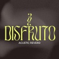 Bull Beats、Xanemusic - Disfruto (Acustic Reverd)(Remix)