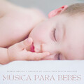 Música de concentración profunda、Musica Relajante、Canciones De Cuna Para Dormir Bebes - Una Experiencia Relajante