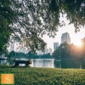 Relaxing Mode - Rhythms Of The Keys When You Want To Shed Tears
