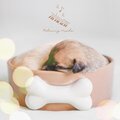 Relaxing Mode - Sleeping Lullaby Music For A Pet Dog When Sleeping