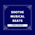 Pankaj Panjiyar - Soothe Musical Beats