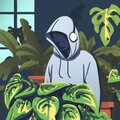 Plant People - Pothos
