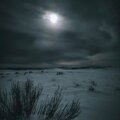 Archa、Koe - DEMUESTRA