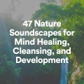 The Nature Soundscapes - Soundscapes of Nature Melodies, Pt. 8