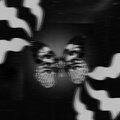 Nicwells - Metamorphosis SW