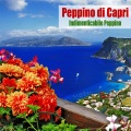 peppino di capri - Parlami D´amore Mariù