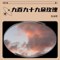 杜永明 - 九百九十九朵玫瑰