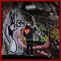 Fallen Roses - I got it (Explicit)