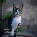 Music For Cats、Music for Relaxing Cats、Cat Music Therapy - Beat And Pleasures