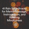 The Nature Soundscapes - Raining Awesomely