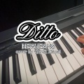 钱小哀 - Ditto