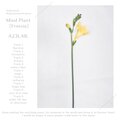 A23LAB. - Arizona