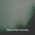 Rain Sounds、Nature Sounds、Rain FX、24H Rain Sounds - Inviting Rain Symphony: Soothe Your Soul