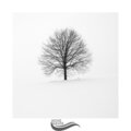 Water Sound Natural White Noise - Relaxing Rest