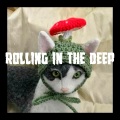 Splice Records - rolling in the deep (Speed Up)(Remix)