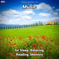 Sleep Music、Yoga、Relaxing Music - Nice Relaxation Music