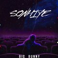 Big Bunny - Sonhiye