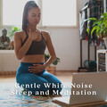 The White Noise Zen & Meditation Sound Lab、Spirit Minds、Zen Meditation and Natural White Noise and New Age Deep Massage - Boat Distant