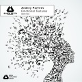 Andrey Porfirev - Birth